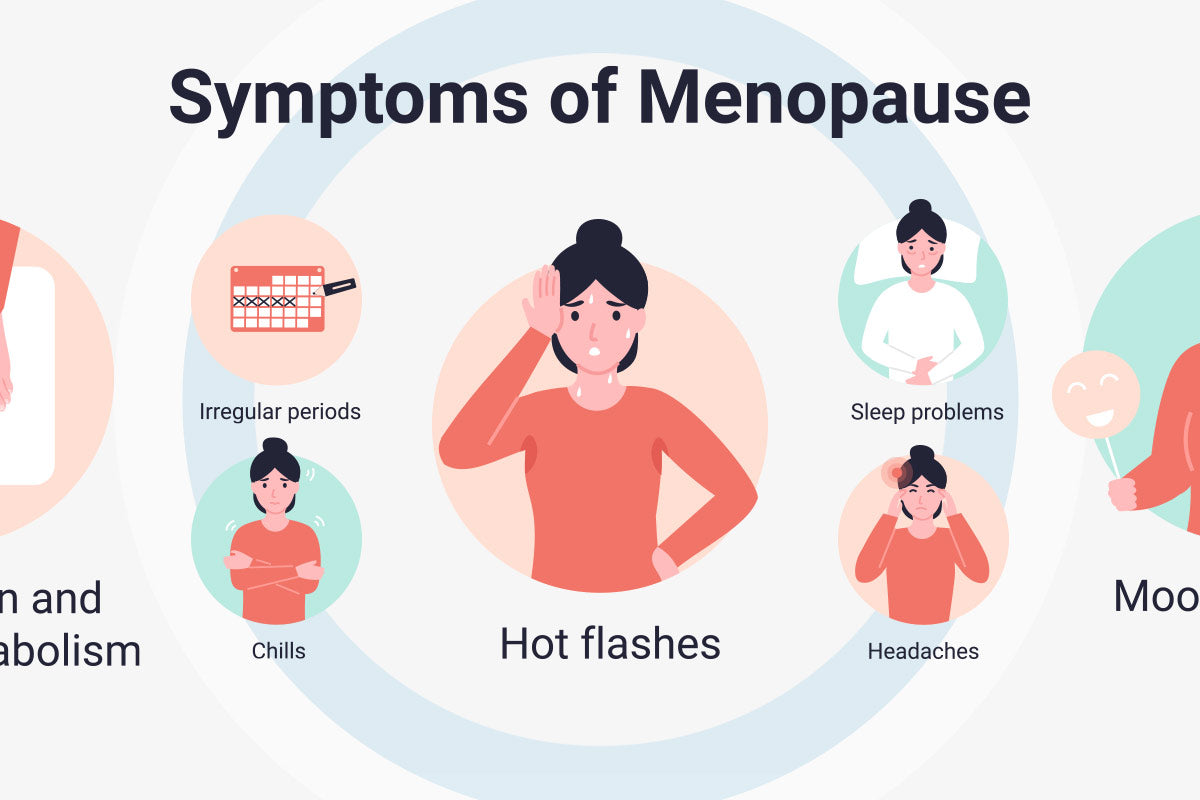 Understanding the menopausal transition – Menopause