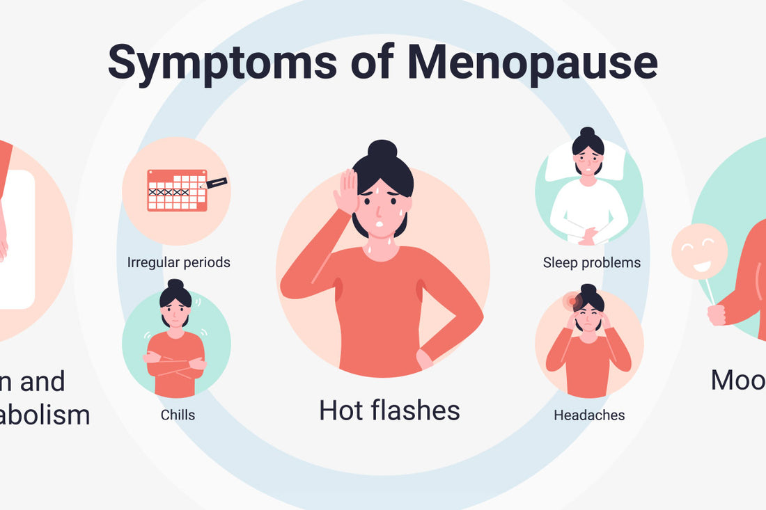 Understanding the menopausal transition